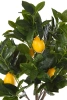 Sztuczne drzewko cytrynowe 120 cm