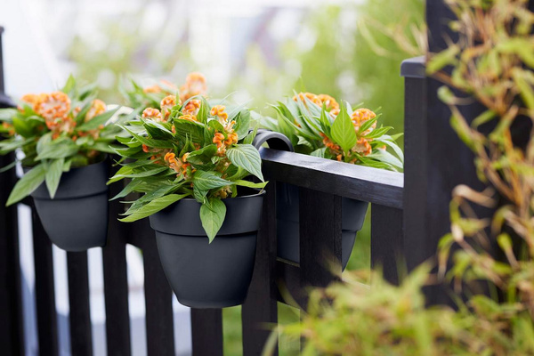 Vibia Flower Twin 21 doniczka dwustronna balkonowa antracytowa