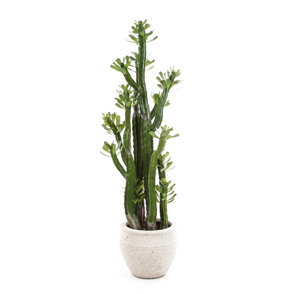 Sztuczny Kaktus Euphorbia Royleana 118 cm