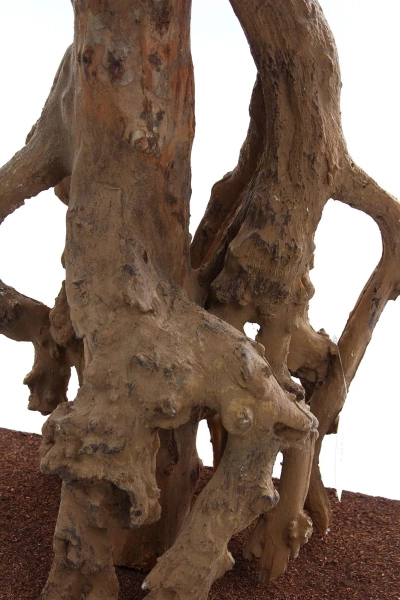 Sztuczna Oliwka Bonsai 150 cm deluxe