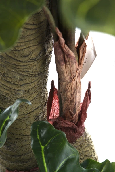 Sztuczna Alokazja drzewko 180 cm 22 liście gruby pień