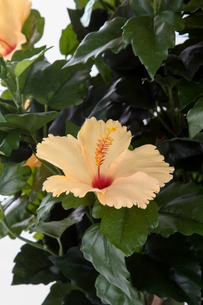 Sztuczny Hibiskus 100 cm pomarańczowe kwiaty deluxe