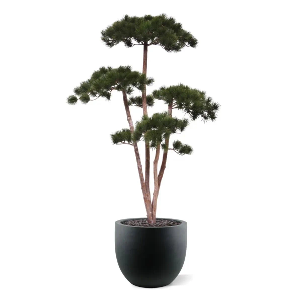 Sztuczny Bonsai Pinia 150 cm deluxe
