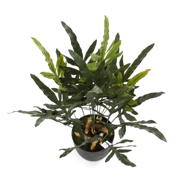 Sztuczna paproć blue fern phlebodium 53 cm w doniczce