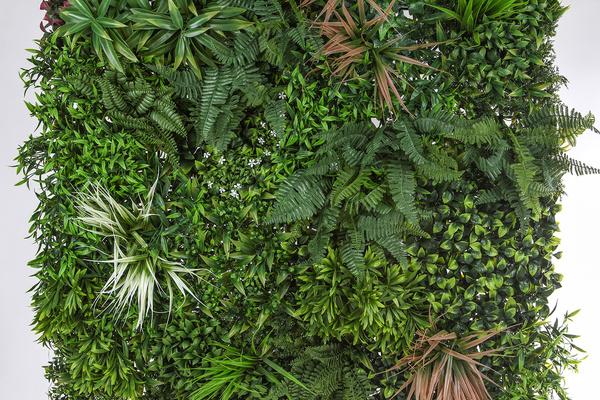 Mata Zielona Ściana panel z liści PREMIUM 100x100 cm