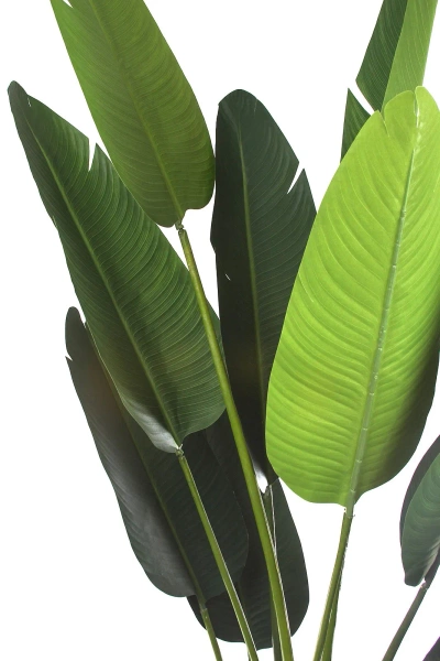 Sztuczna wysoka strelicja 230 cm 13 liści