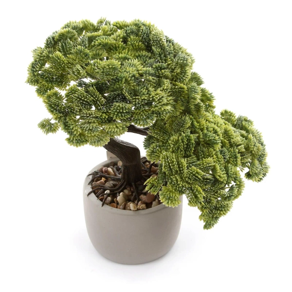 Sztuczny Bonsai Sedum Multiceps 25 cm w cementowej doniczce