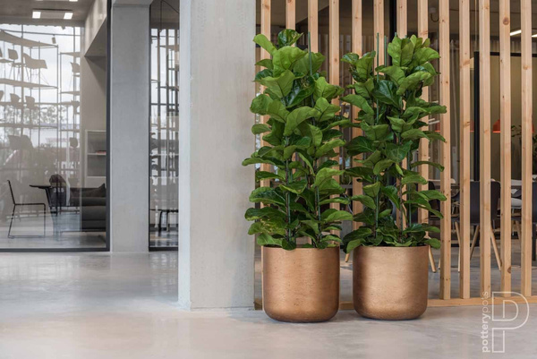 Charlie L 25/24 złota doniczka okrągła kamienna