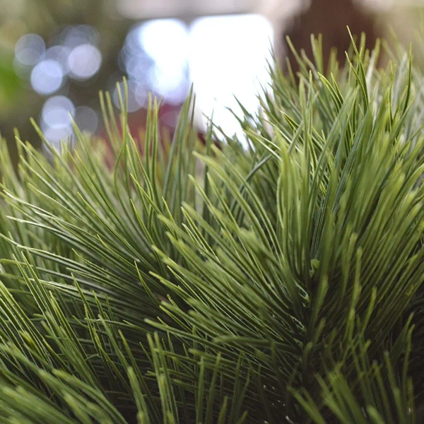 Sztuczny Bonsai Pinia 55 cm UV grube drewniane pnie