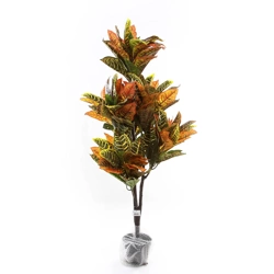 Sztuczny Kroton 118 cm Codiaeum kolorowe liście