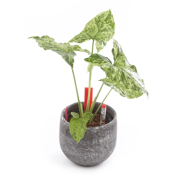 Marcus 14/12 osłonka ceramiczna antracyt metalic