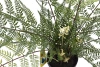 Sztuczna Paproć w doniczce 65 cm 11 liści Weatherproof UV