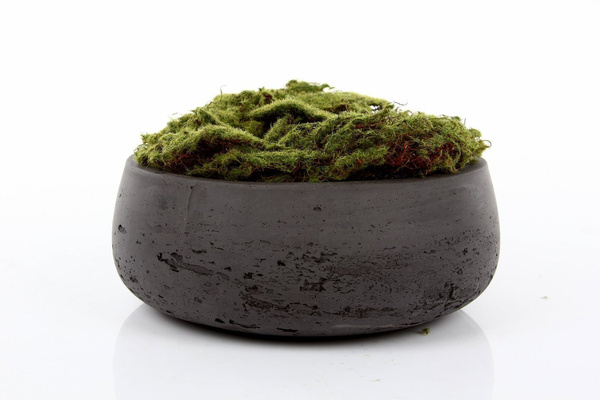 Eileen S 24/9 kamienna osłonka na bonsai misa czarna