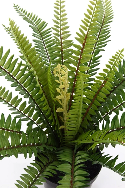 Sztuczna Paproć Boston 65 cm w doniczce