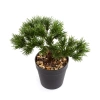 Sztuczny Bonsai Sosna Pinia 18 cm