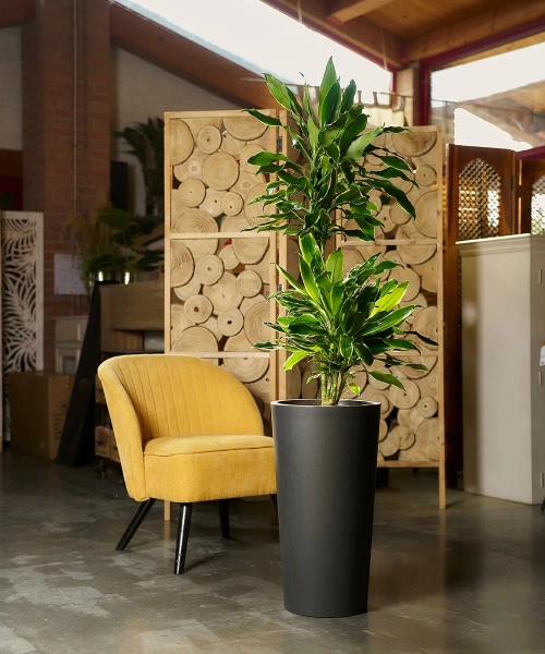 Tuit Raw 40/75 donica wysoka z wkładem antracytowa