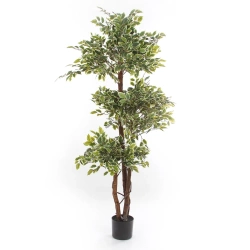 Sztuczny fikus benjamina 165 cm zielono-biały