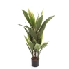 Sztuczna Dracena variegata 80 cm