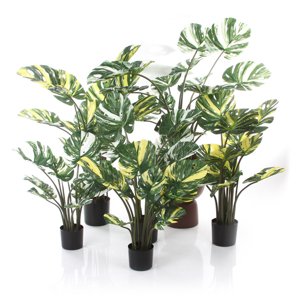 Sztuczna Monstera Variegata dziurawa biało-zielona 90 cm