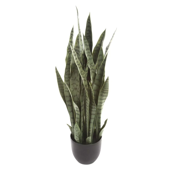 Sztuczna Sanseweria Coral Black 90 cm
