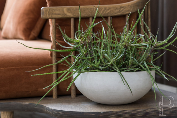 Morgana XXS 30/13 doniczka misa biały naturalny beżowy