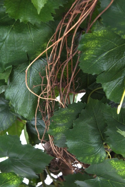 Sztuczne winogrono drzewko 120 cm Premium