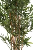 Sztuczny Bambus Royal 165 cm