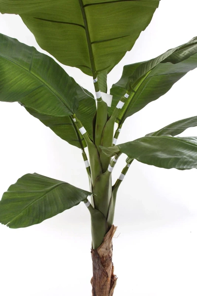 Sztuczny Bananowiec 165 cm