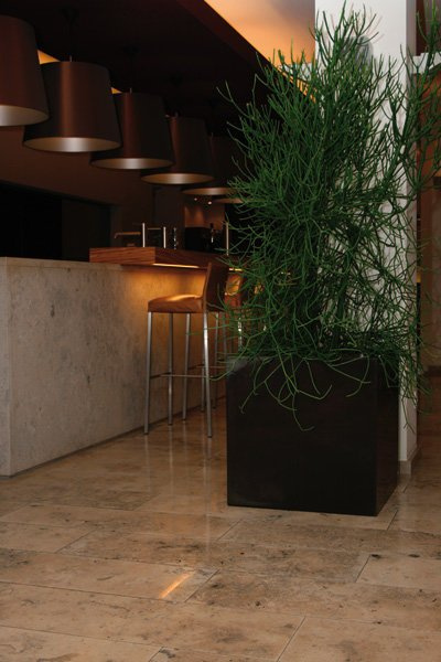 CUBUS 40x40/40 donica kwadratowa ciemny brąz połysk czekoladowa