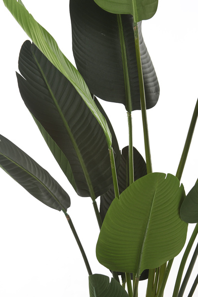 Sztuczna strelicja 190 cm 13 dużych liści