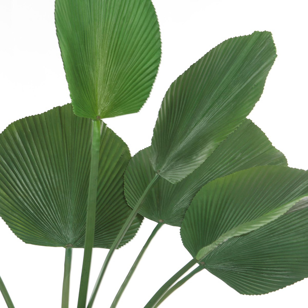 Sztuczna Licuala palma 130 cm duże liście