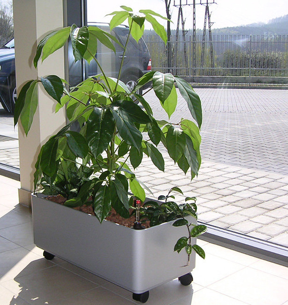 Sauerland 60x20/13,5 prostokątna doniczka srebrna matowa