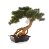 Sztuczny Bonsai Pinia Sosna Parviflora 55 cm w czarnej ceramicznej doniczce