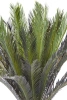 Sztuczny Cycas 150 cm