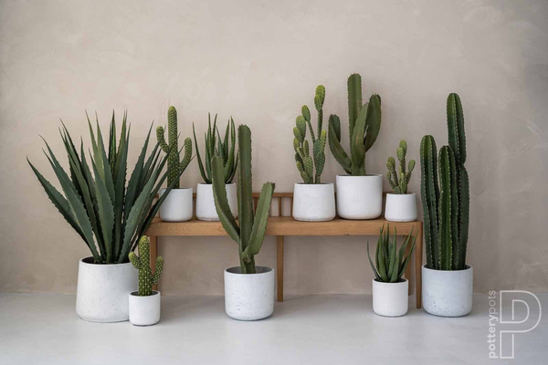 Patt XL 23/19,5 doniczka kamienna szara