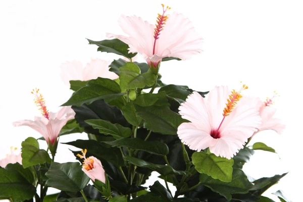 Sztuczny Hibiskus 100 cm różowe kwiaty deluxe