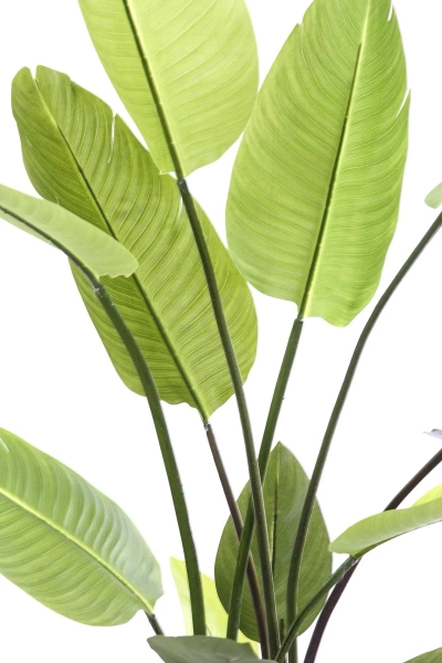 Sztuczna Strelicja nicolai 150 cm 13 liści