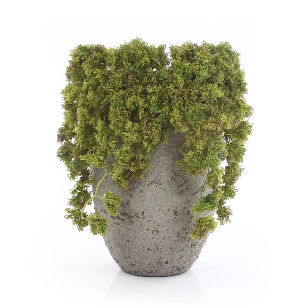 Sztuczny mech islandzki pnącze 36 cm OGNIOODPORNY flame retardant