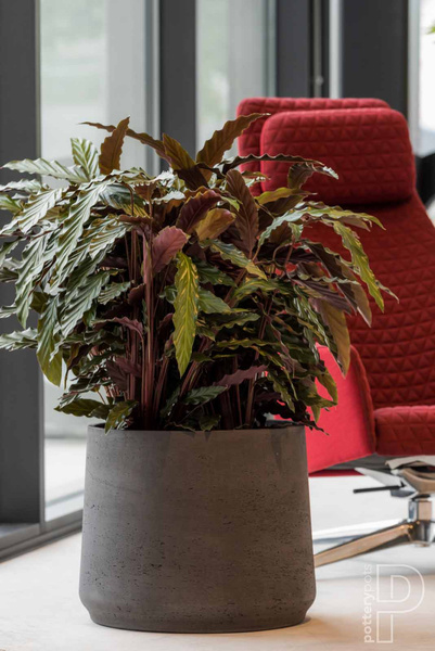 Patt XL 23/19,5 doniczka kamienna czarna black washed