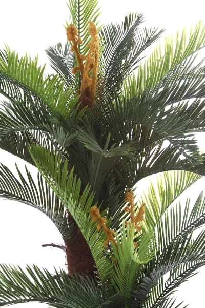 Sztuczna palma Cykas 150 cm 2 pnie