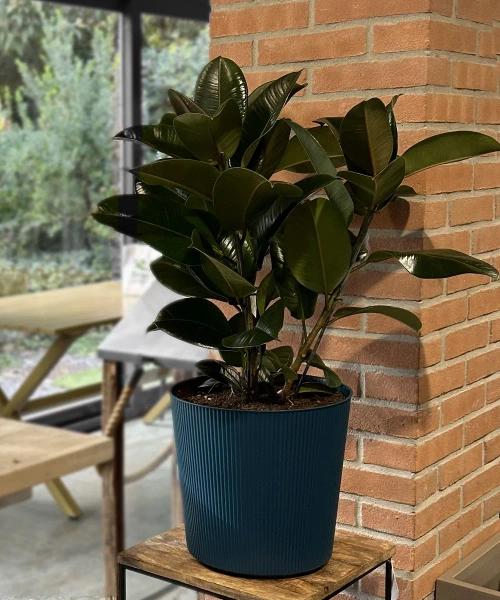 Fyre 40 donica ryflowana mango na kółkach