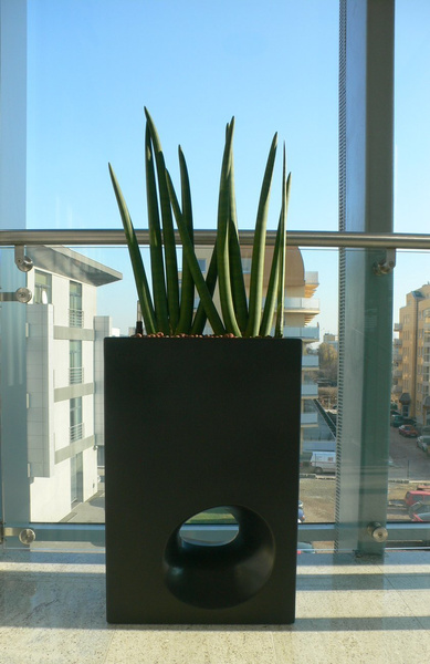 VASO MODO 50x26/75 donica designerska prostokątna grafitowa