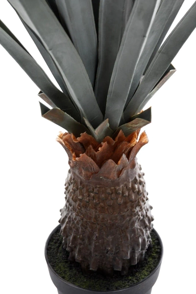 Sztuczna Agawa angustifolia 140 cm UV