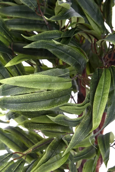 Sztuczny Fikus Amstel King 80 cm drewniane pnie