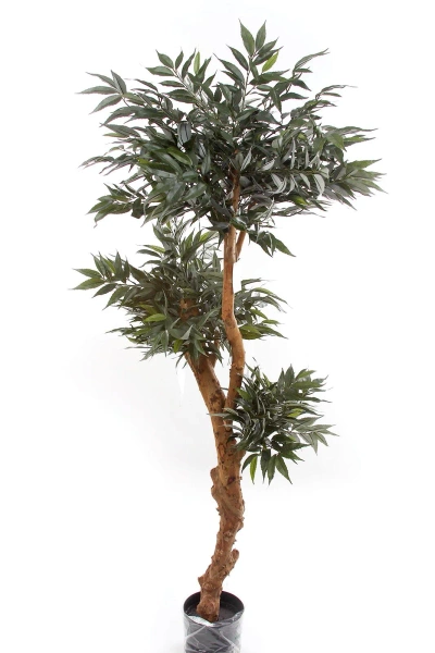 Sztuczny Bonsai Shirakashi 160 cm deluxe