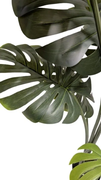Sztuczna Monstera wysoka XXL 180 cm