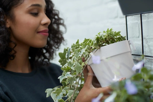 Loft Green Wall Single 15/14 doniczka balkonowa biała Elho