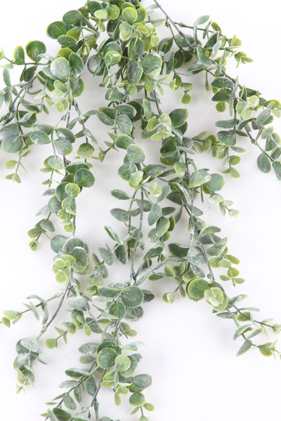 Sztuczny Eukaliptus wiszący pnącze 80 cm