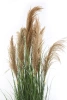 Sztuczna Trawa trzcinowa z kłosami 165 cm