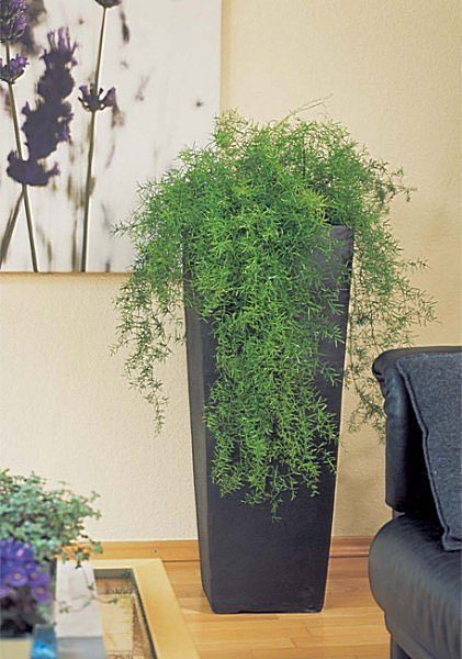 ANTHRACITE KUBIS 36x36/90 donica betonowa wysoka kwadratowa grafitowa